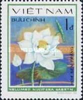 White lotus (Nelumbo nucifera)