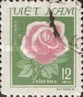 Pink Rose (Hong Bach)