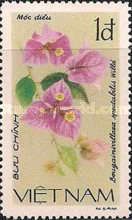 Bougainivillaea (Bougainivillaea spectabilis)