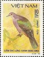 Green Imperial-pigeon (Ducula aenea)