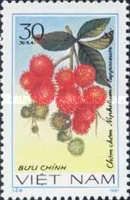Rambutan (Nephelium lappaceum)