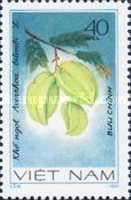 Carambola (Averrhoa bilimbi)