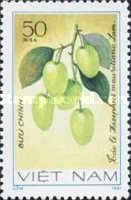 Jujube (Ziziphus mauritiana)