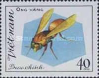 Paper Wasp (Polistes sp.)