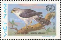 White-rumped Falcon (Neohierax harmandi)