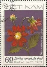 Red Dahlia - Thuoc duoc do tuoi