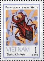Squash Bug (Pterygamia srayi)