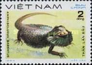 Eastern Beared Dragon (Amphibolurus barbatus)