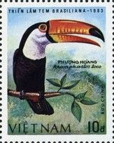 Brasiliana 83 - Common Toucan (Ramphastos toco)