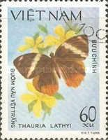 Jungleking (Thauria lathyi)