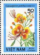 Sampan (Caesalpinia pulcherrima)