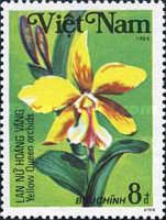 Cattleya Yellow Queen