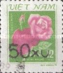Pink Rose (Hong Bach)
