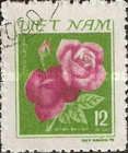 Red Roses (Hong nhung)
