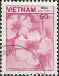 Chinese hibiscus (Hibiscus rosa-sinensis)