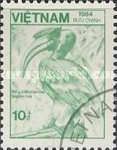 Great Hornbill (Buceros bicornis)