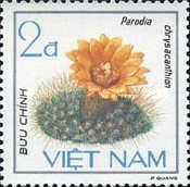 Yellow haired cactus (Parodia chrysacanthion)