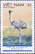 Darwin's Rhea (Rhea pennata)