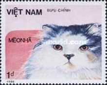 Domestic Cat (Felis silvestris catus)
