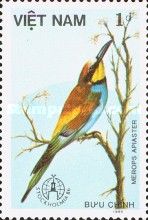 European Bee-eater (Merops apiaster)