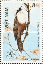 White-crested Laughingthrush (Garrulax leucolophus)