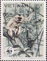 Western Black-crested Gibbon (Hylobates concolor)