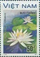 White Waterlily (Nymphaea capensis)
