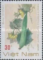 Luffa cylidrica