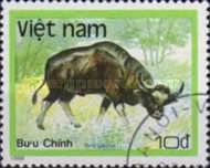 Gaur (Bos gaurus)