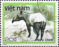 Asian Tapir (Tapirus indicus)