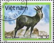 Mainland Serow (Capricornis sumatraensis)