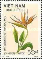 Bird of Paradise (Strelitzia reginae)