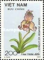 Paphiopedilum siamense