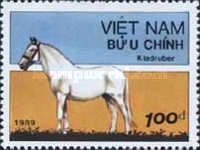 Kladruber Horse (Equus ferus caballus)