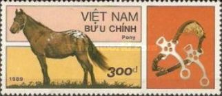 Pony (Equus ferus caballus)