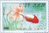 Red-headed Oranda (Carassius auratus auratus)