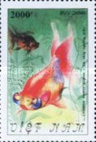 Goldfish (Carassius auratus var.)