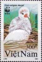 Sarus Crane (Grus antigone ssp. sharpii)