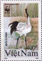 Red-crowned Crane (Grus japonensis)