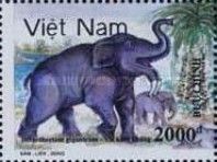 Deinotherium giganteum