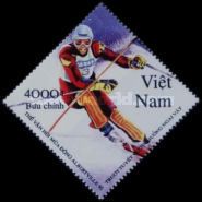Skiing (Slalom)