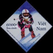 Skiing (down hill)