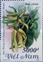 Cananga (Cananga odorata Hook.f.et Thoms.)