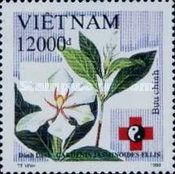 Gardenia jasminoides ellis