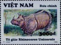 Indian Rhinoceros (Rhinoceros unicornis)