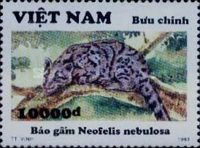 Clouded Leopard (Neofelis nebulosa)