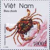 Two-spot Swimming Crab (Charybdis bimaculata)