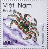 Spiny King Crab (Paralithodes brevipes)