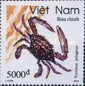 Flower Crab (Portunus pelagicus)