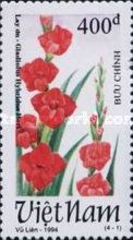 Red gladioli (Gladiolus hybridus Hort)